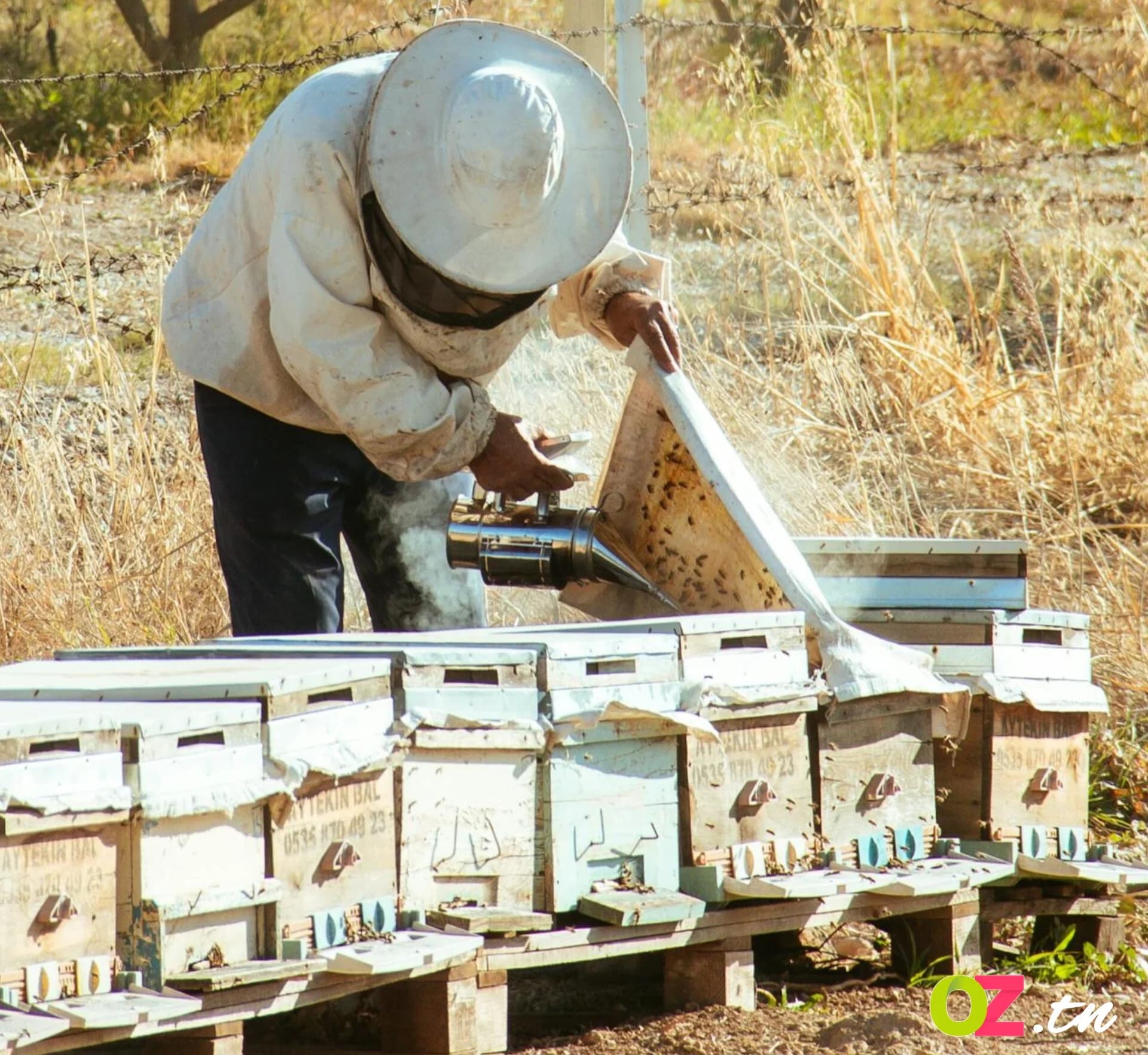 محلات بيع مستلزمات النحل في تونس