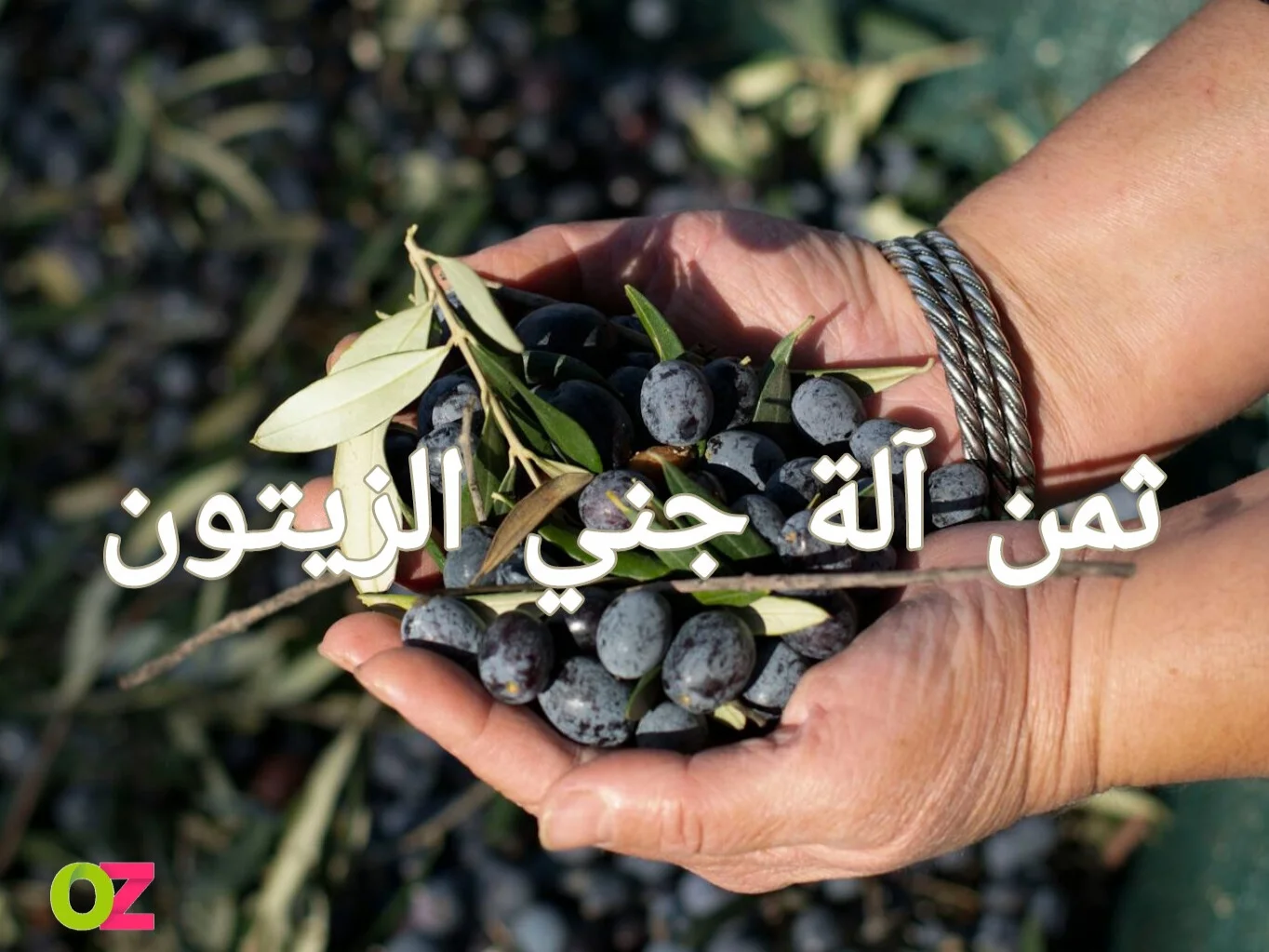 ثمن آلة جني الزيتون في تونس