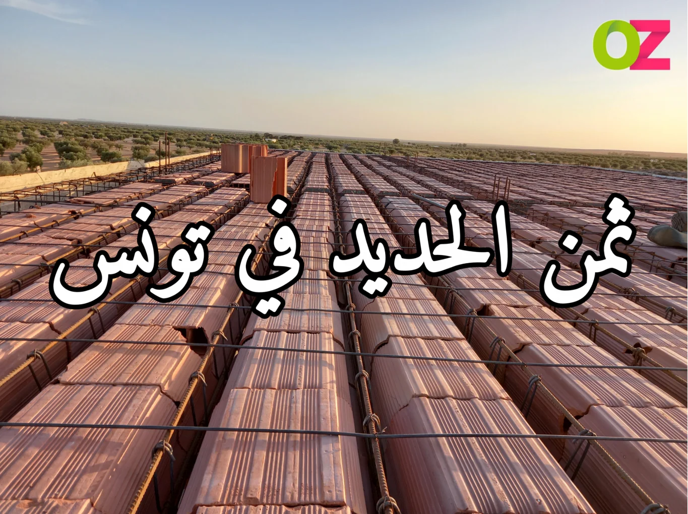 ثمن الحديد في تونس