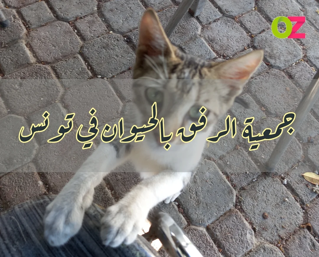رقم هاتف جمعية الرفق بالحيوان تونس