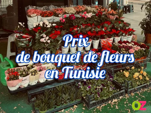 Prix de bouquet de fleurs en tunisie